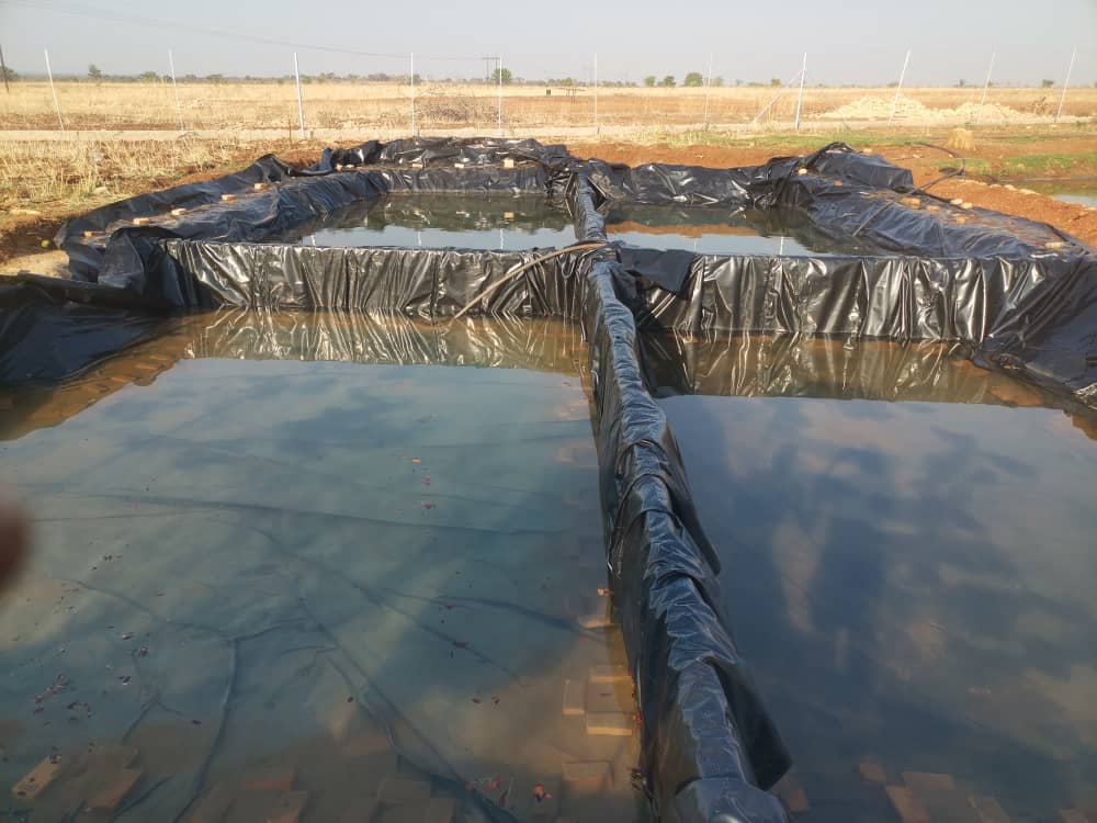 Fish Pond Construction